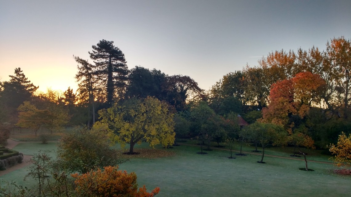 img_20161102_071034846_hdr