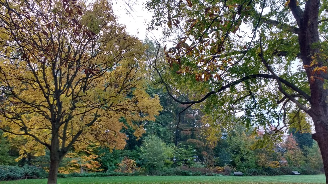 img_20161103_071342871_hdr