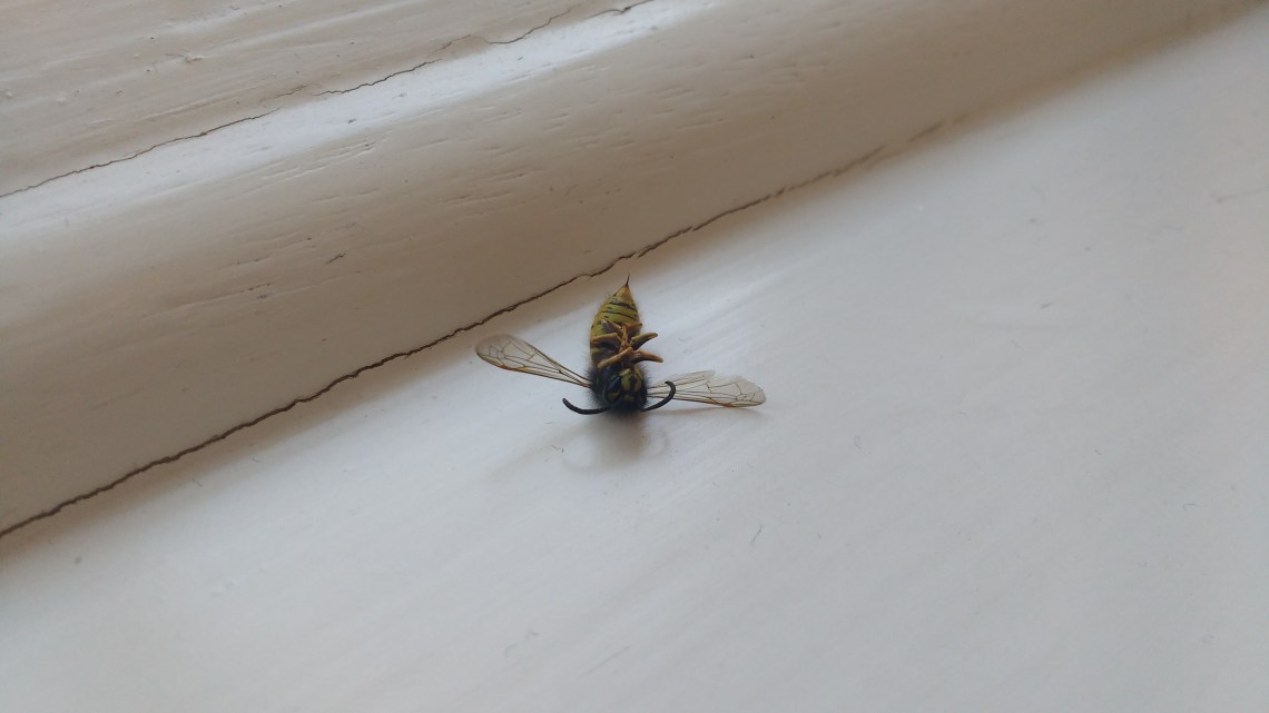 img_20161116_083232516