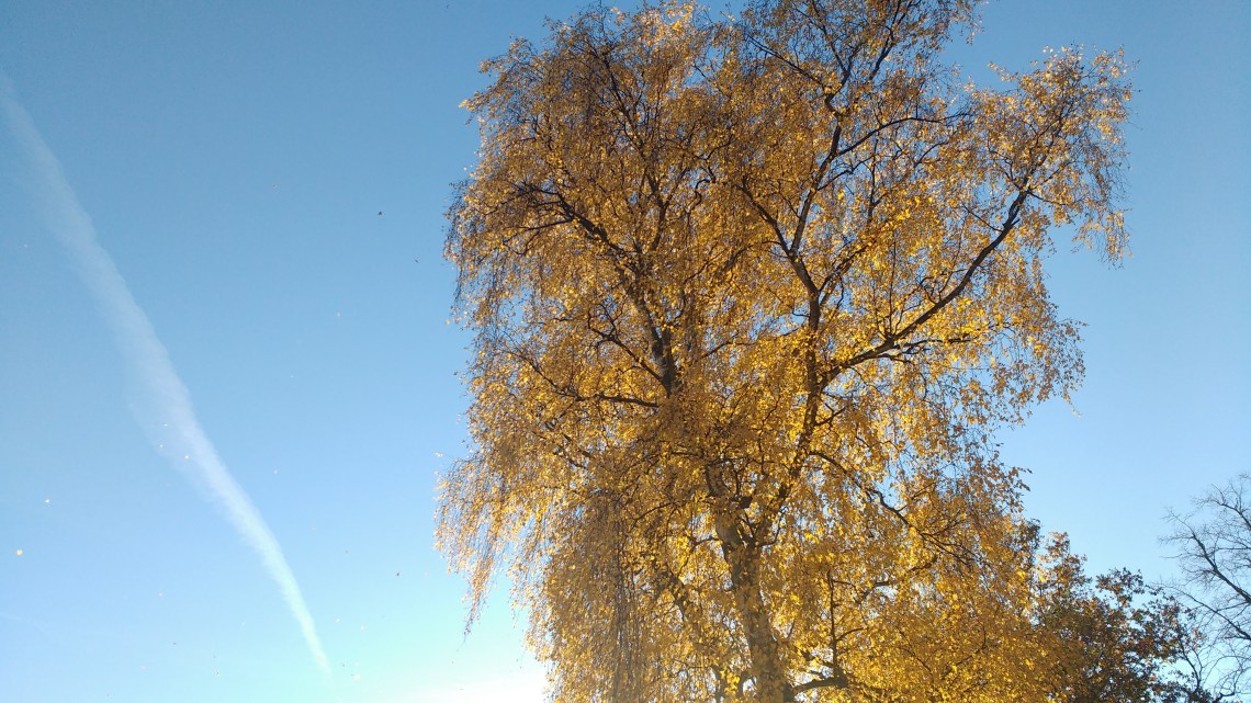 img_20161116_083525606