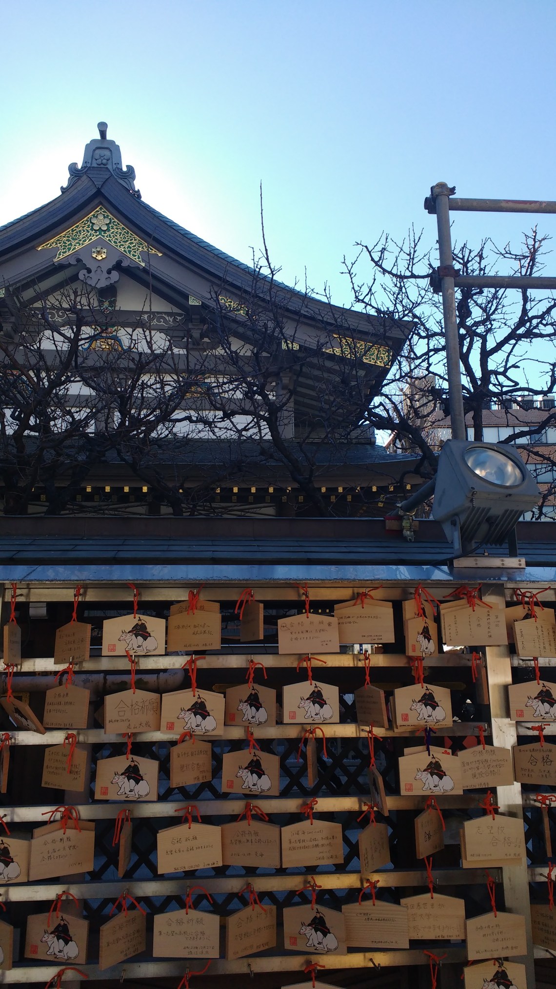 img_20161228_120656028