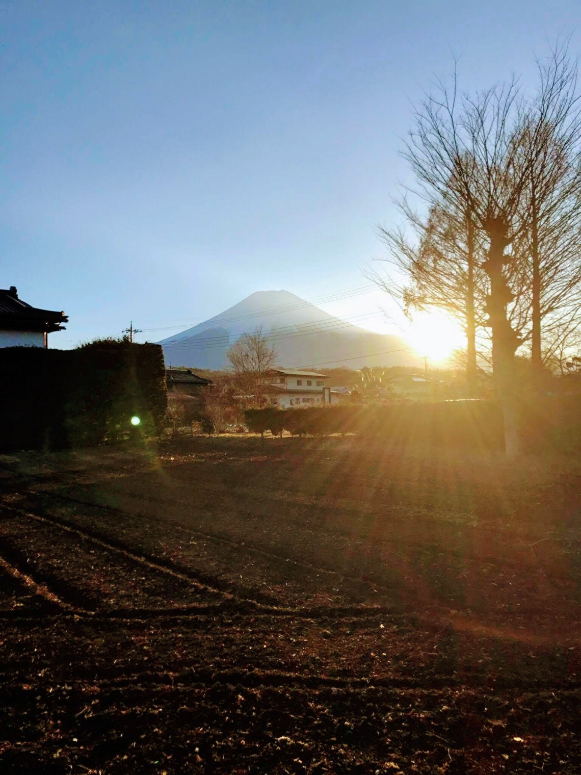 received_226692771113865