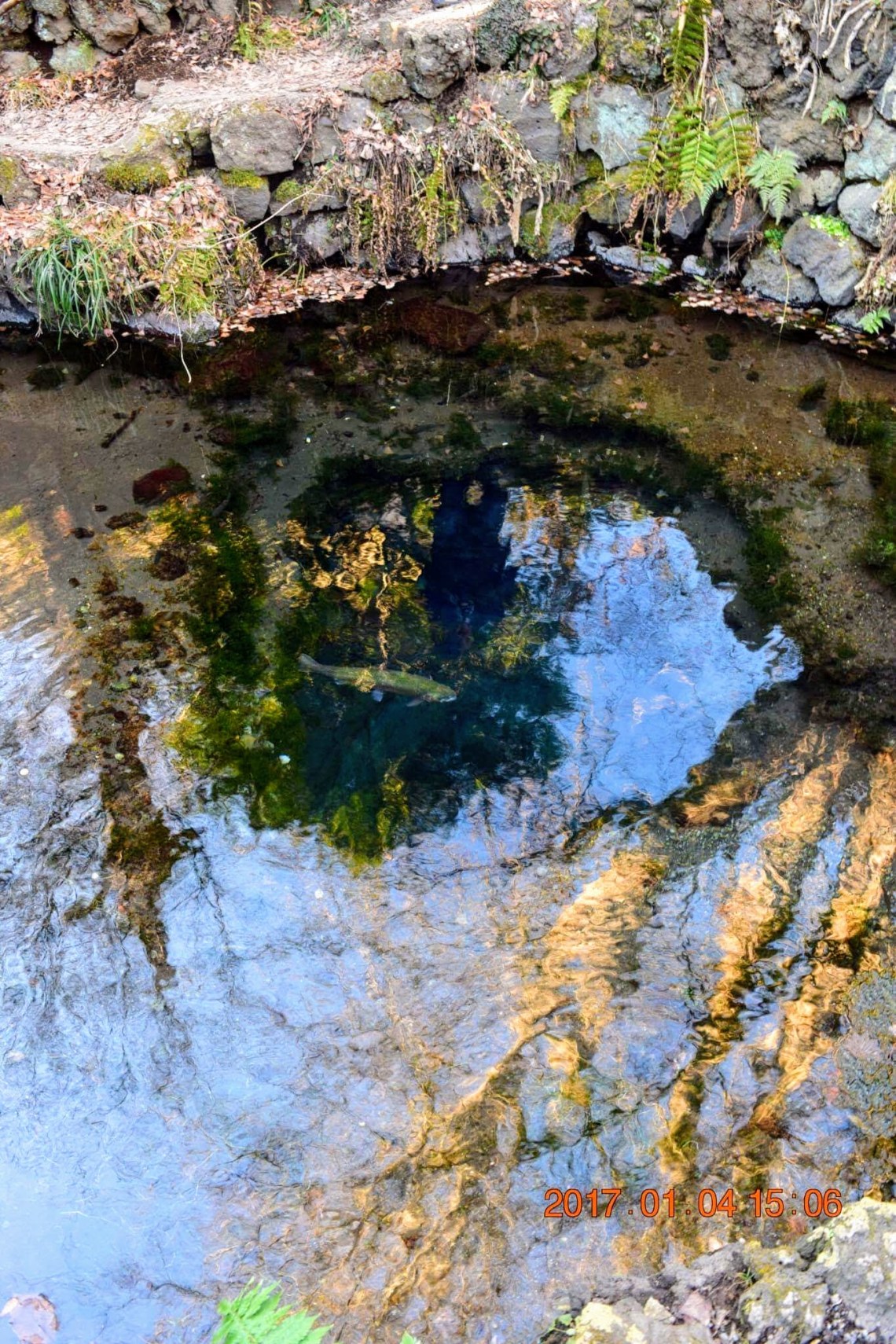 received_409917722732742