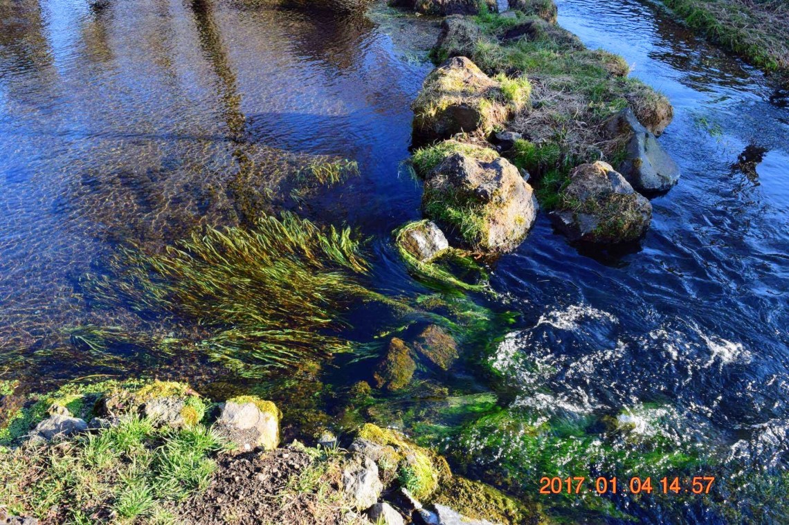 received_409917732732741