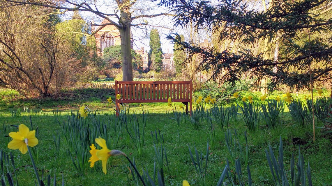 IMG_20170315_095231357