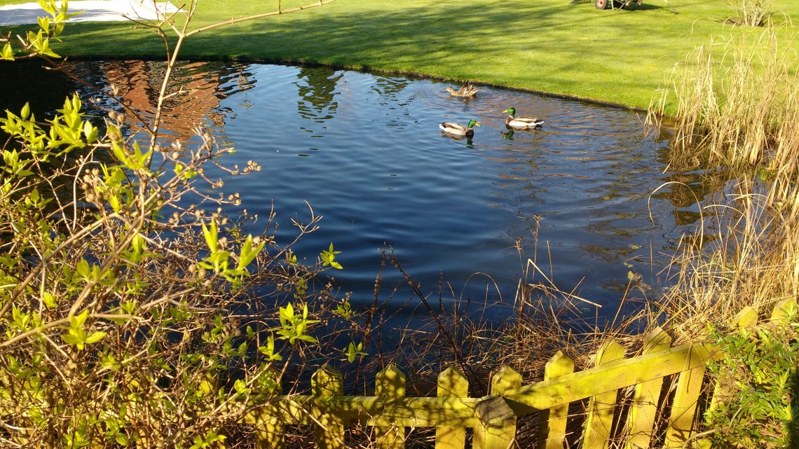 IMG_20170315_095316635