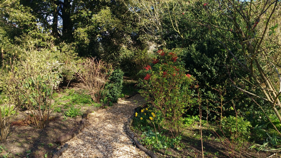 IMG_20170315_095414935