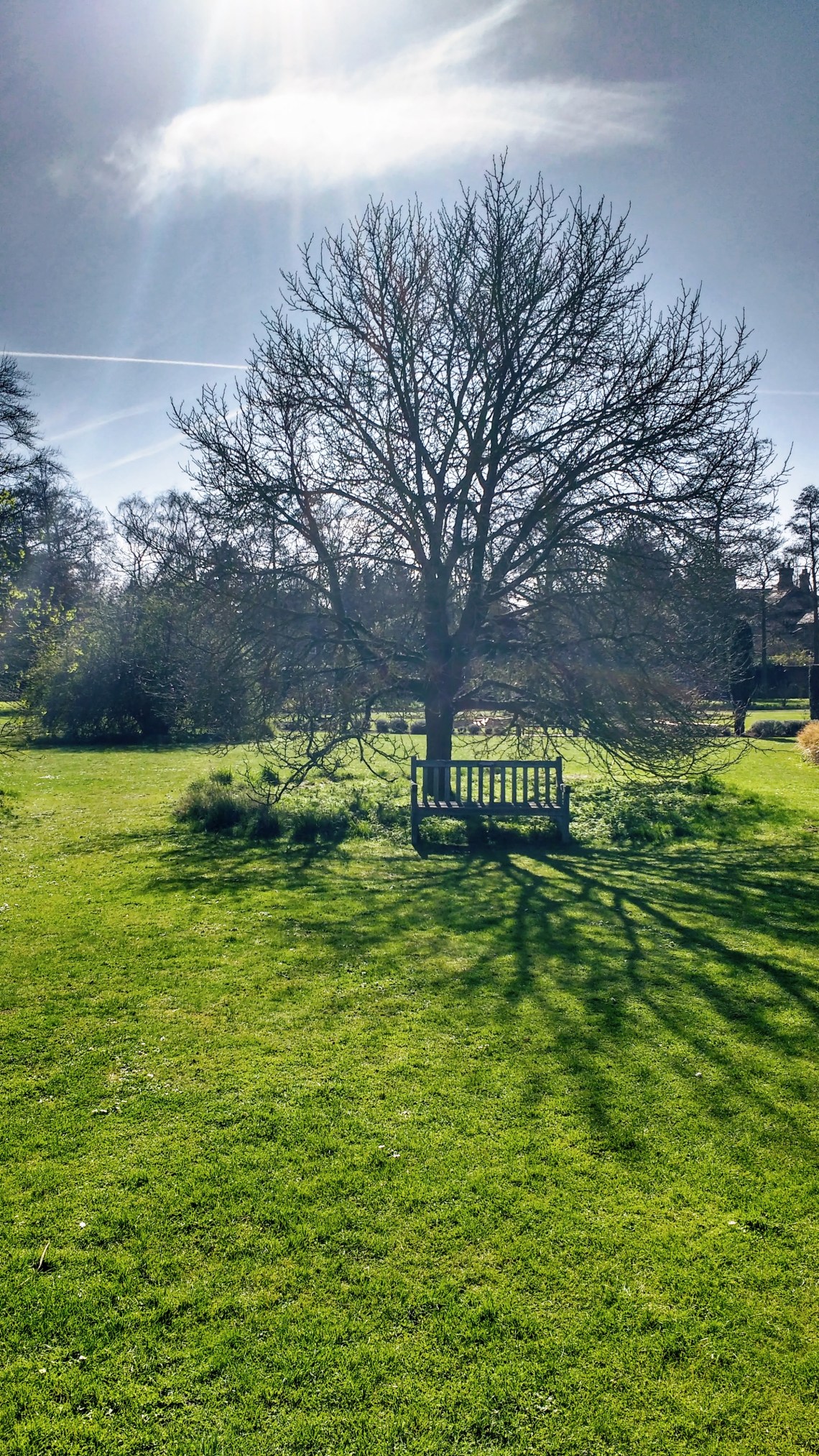 IMG_20170315_114502825_HDR