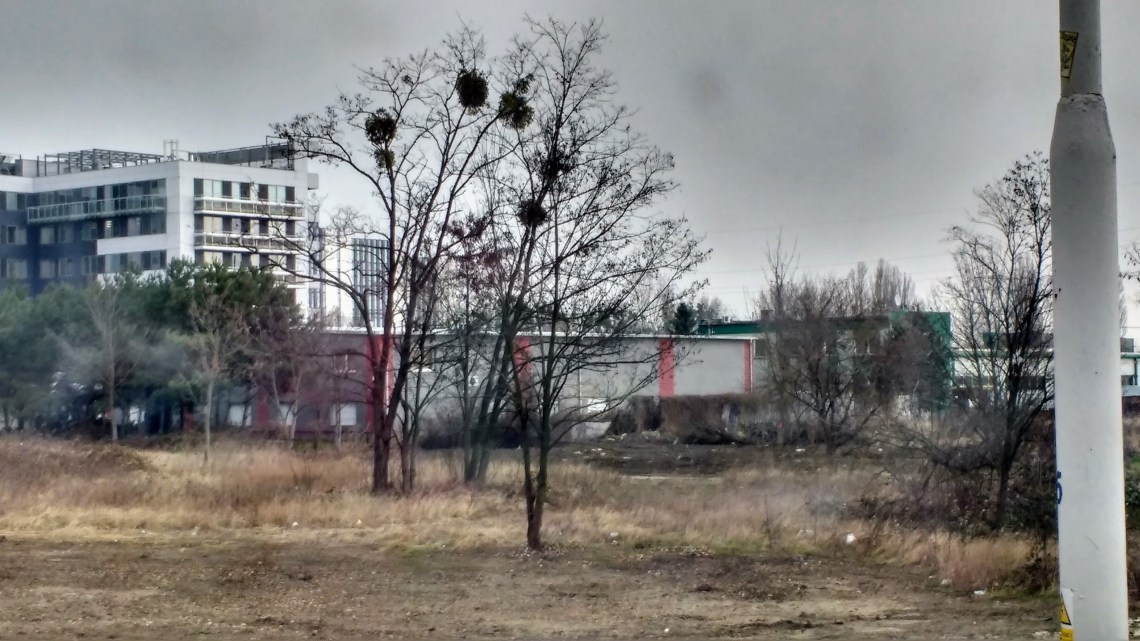 IMG_20170317_135148661_HDR