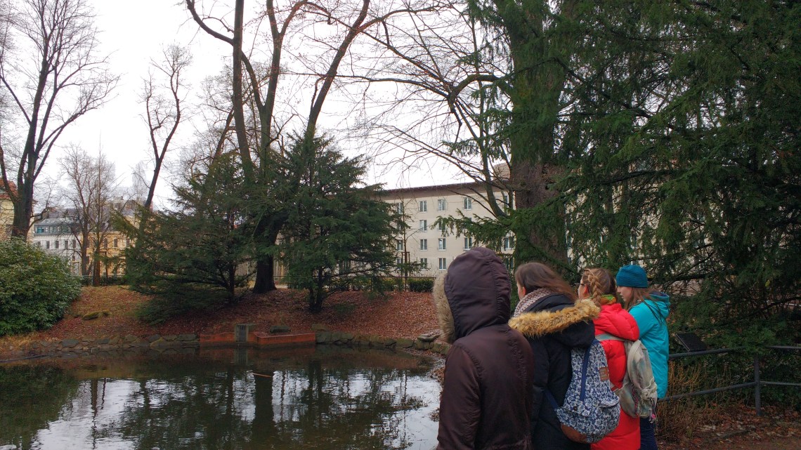 IMG_20170318_122343790