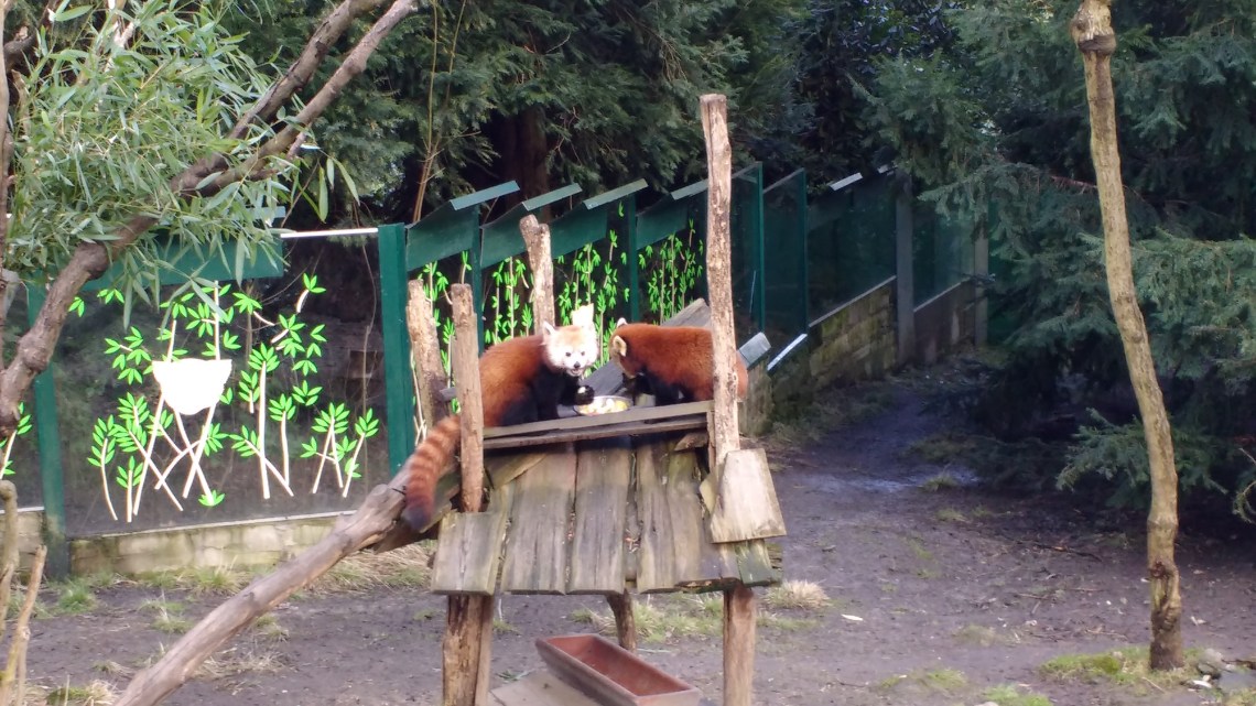 IMG_20170318_144542716