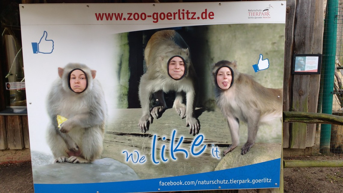 IMG_20170318_145139614