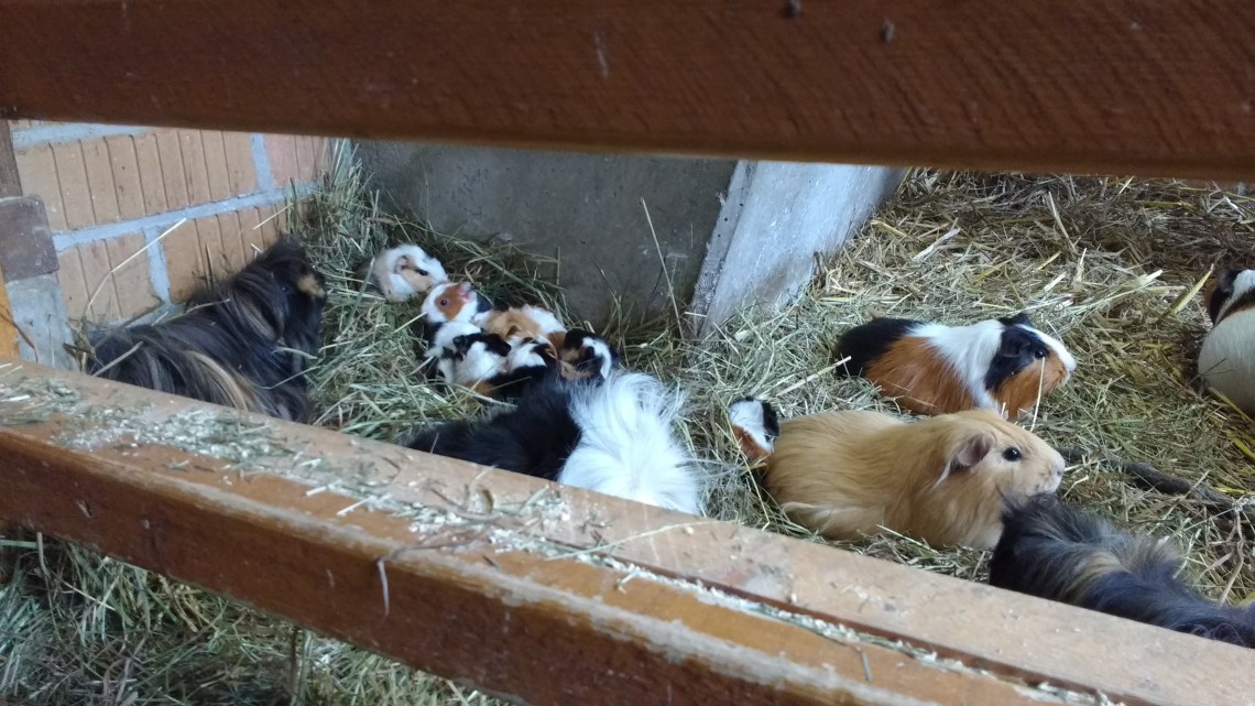 IMG_20170318_150207609