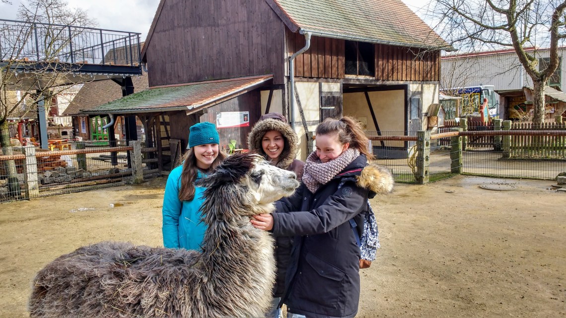 IMG_20170318_151047993_HDR