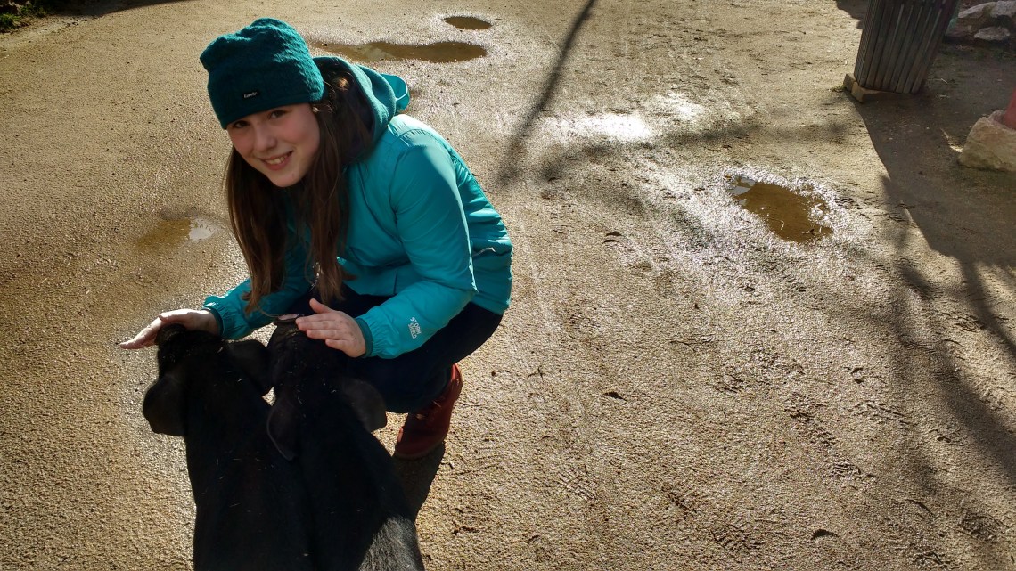 IMG_20170318_153324685_HDR