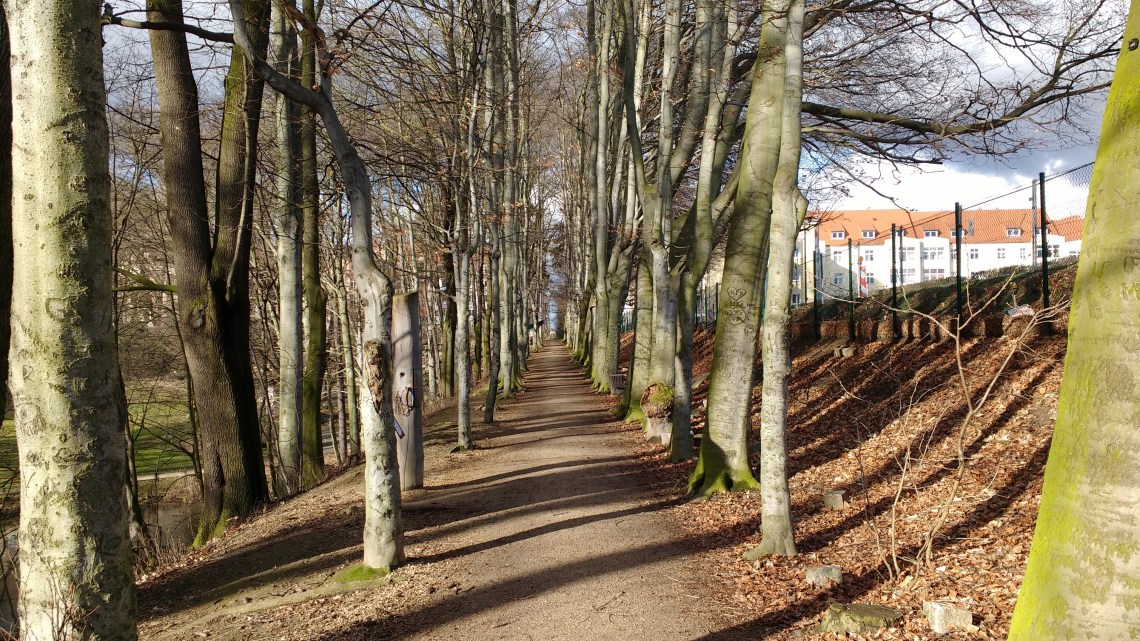 IMG_20170318_154208971