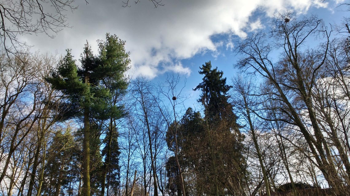 IMG_20170318_155436750_HDR