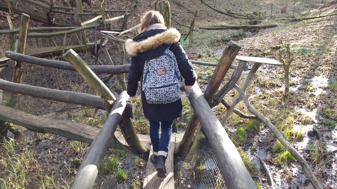 IMG_20170318_155552932