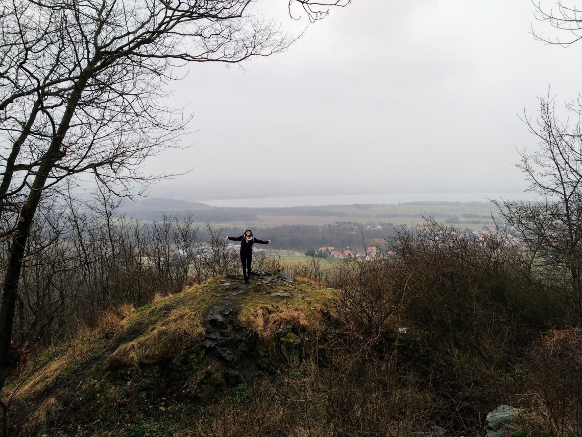 IMG_20170319_140633094