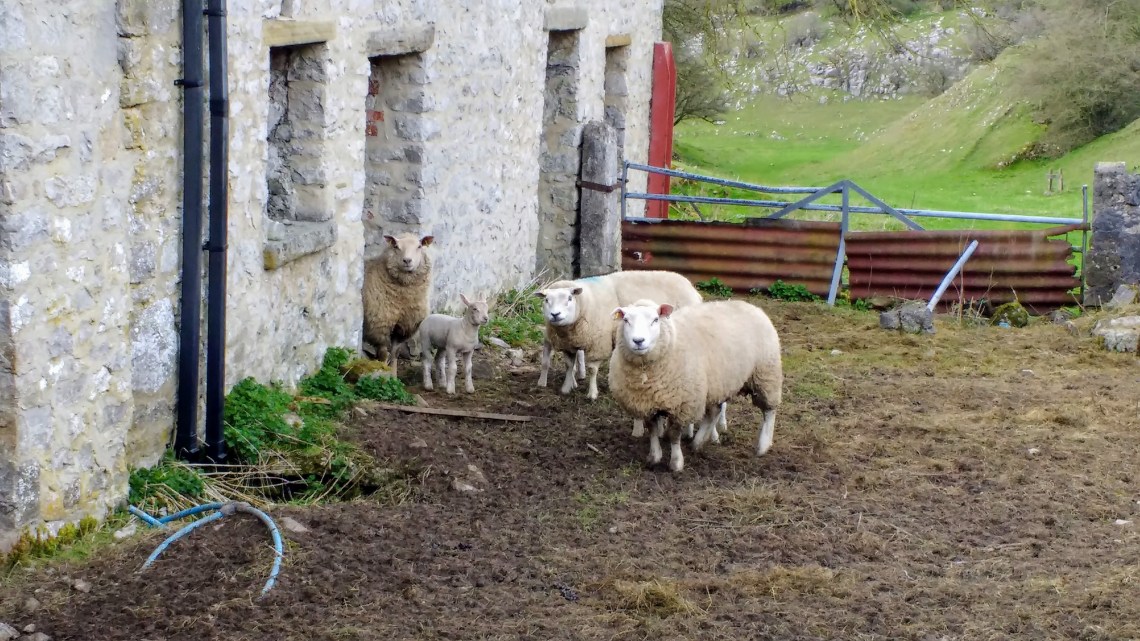 IMG_20170401_154954986