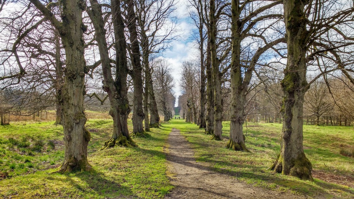 IMG_20170402_105310305_HDR