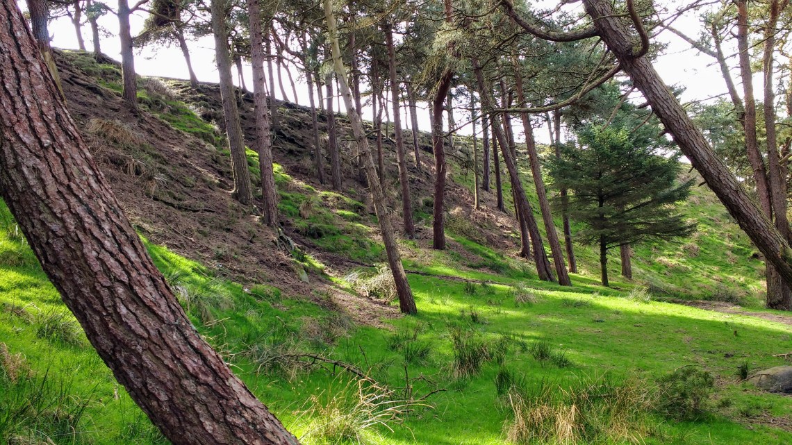 IMG_20170403_125940702