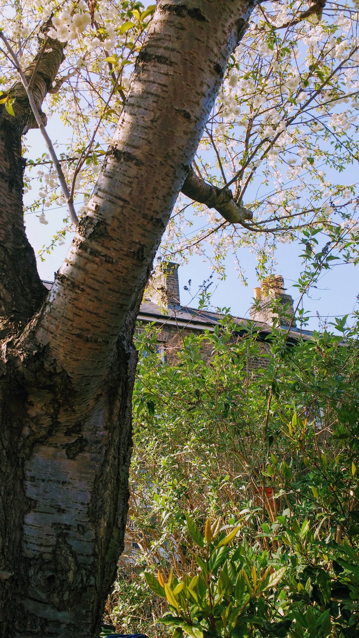 IMG_20170408_143045753