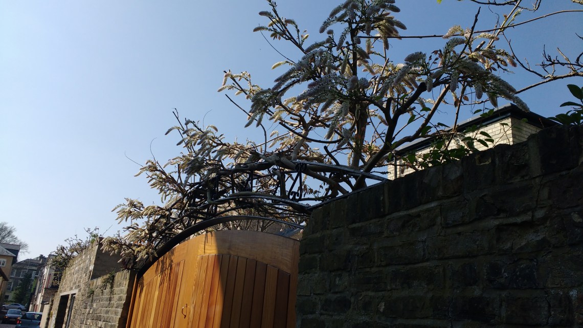 IMG_20170408_143359383