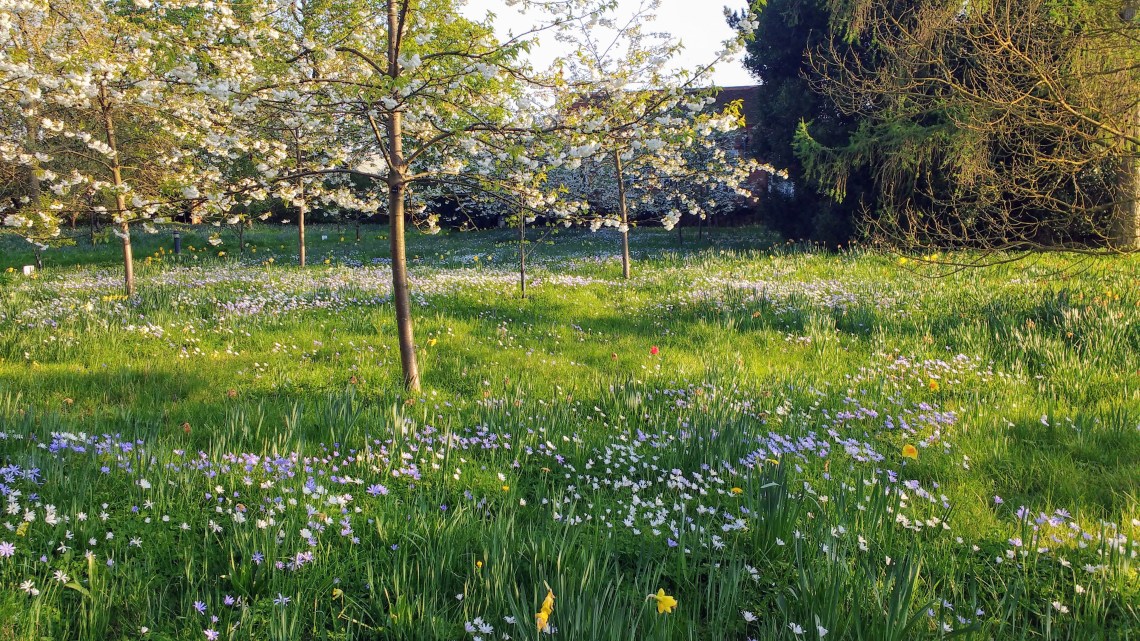 IMG_20170408_175331399