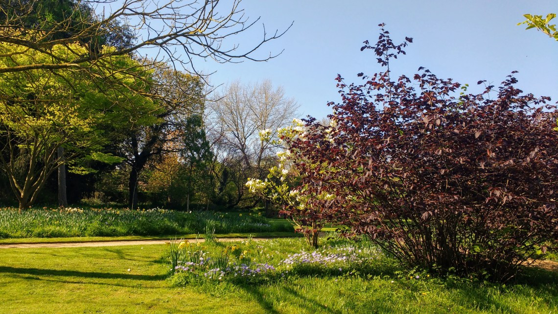 IMG_20170409_100445687