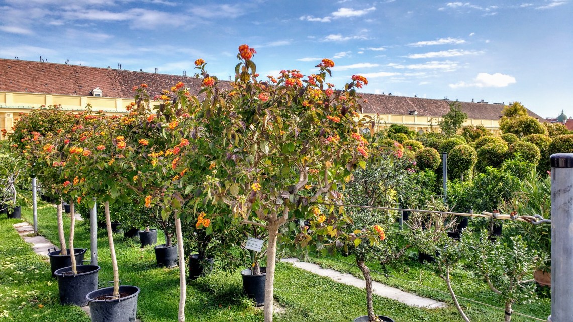 IMG_20170918_103849809_HDR