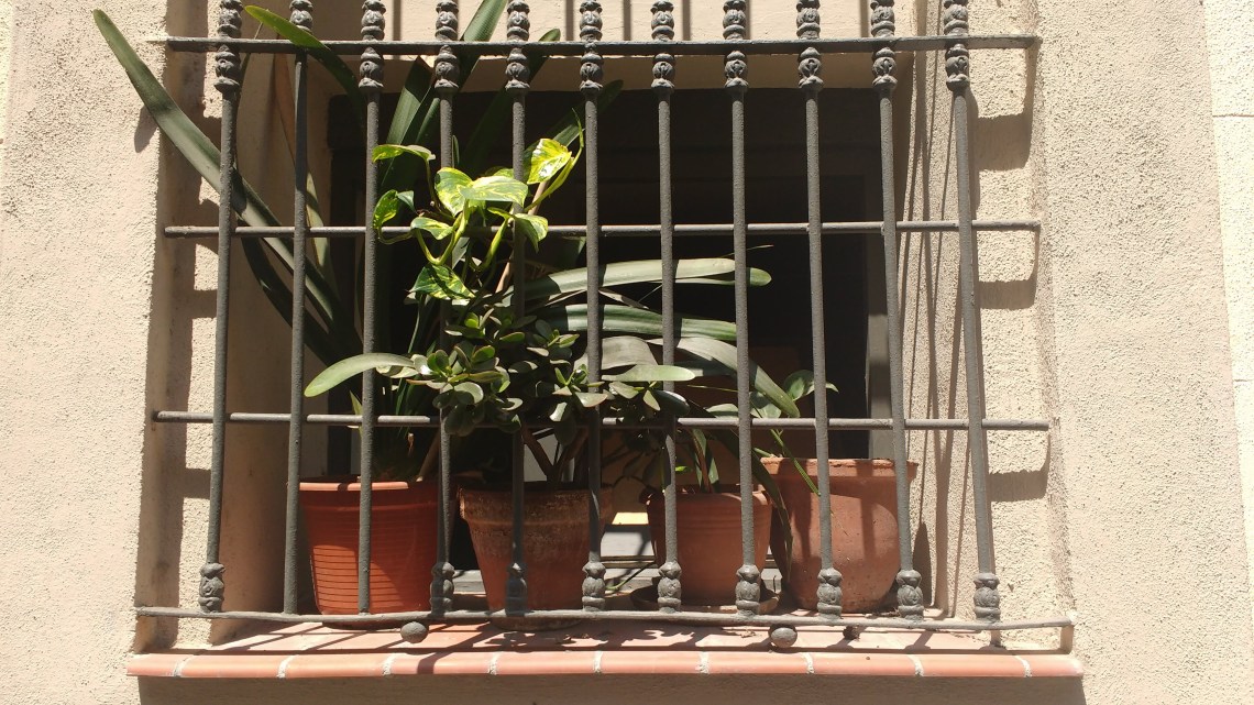 IMG_20180702_124031058