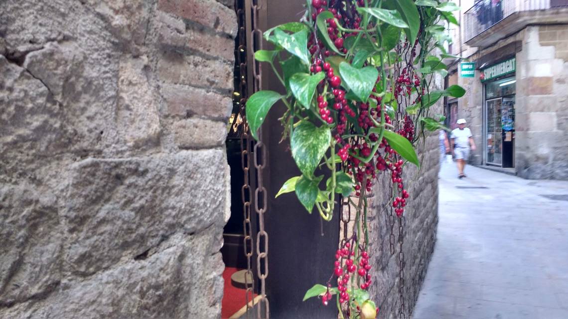 IMG_20180704_153910857_HDR