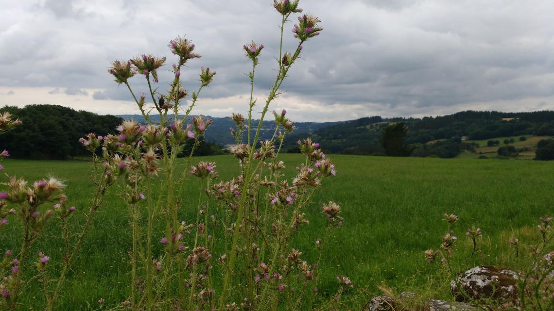 img_20180705_152352204