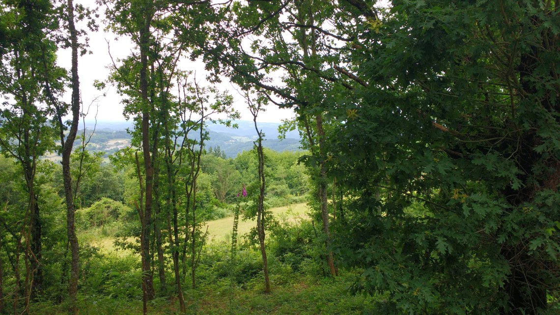 img_20180705_162401671