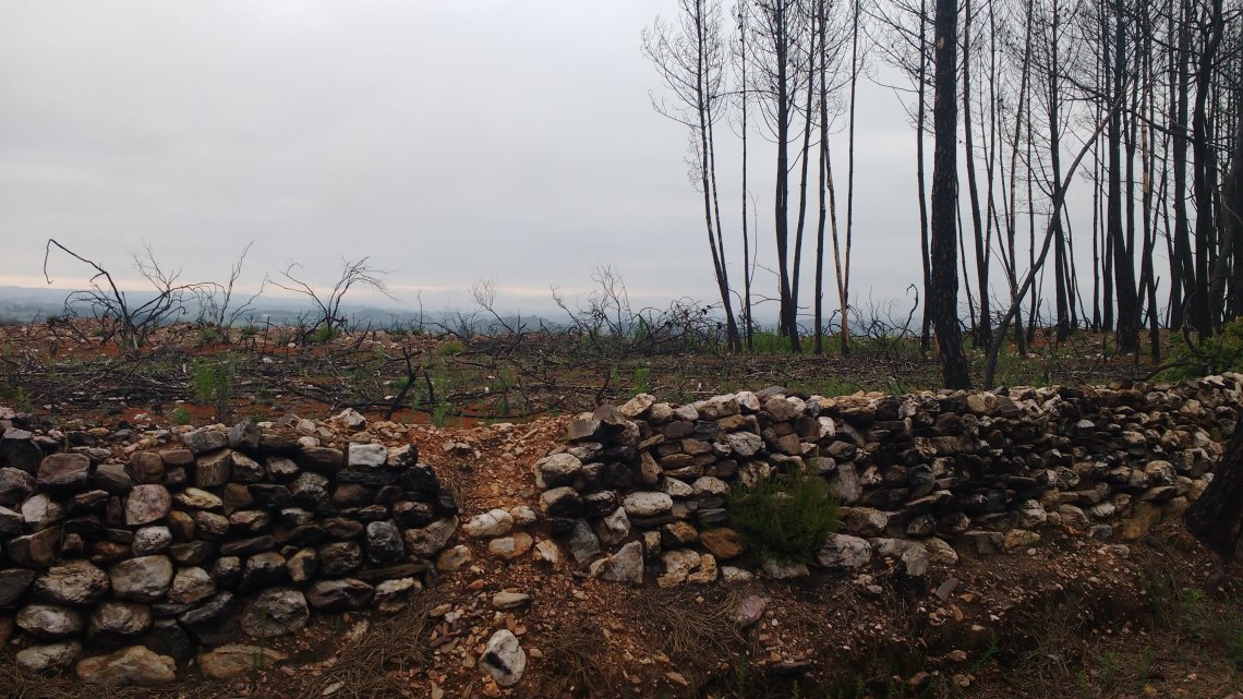 img_20180706_091856761