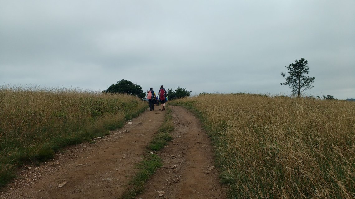 img_20180706_103629807