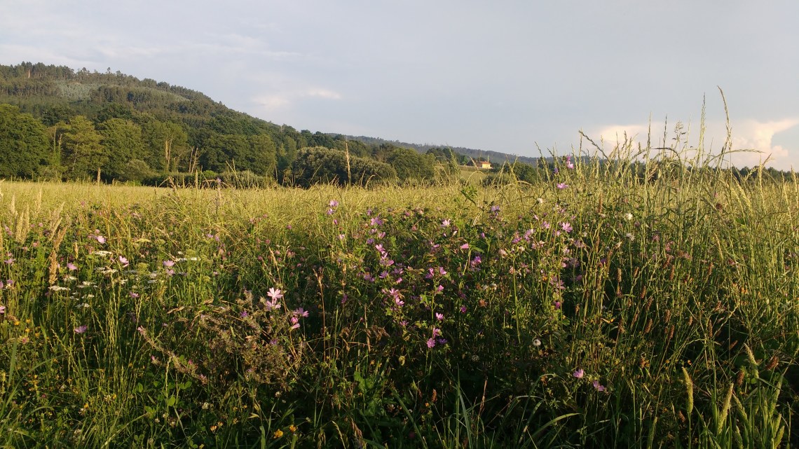 img_20180707_204500722