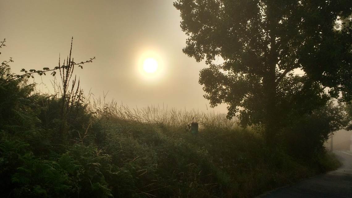 img_20180708_075530073_hdr1