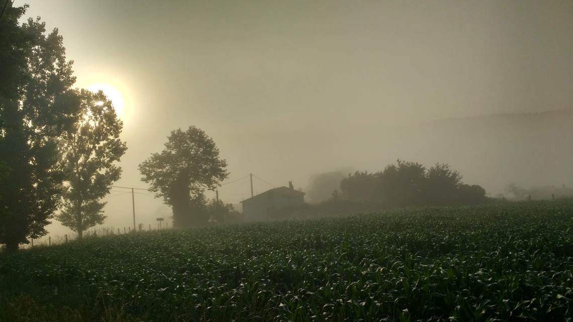 img_20180708_075821281_hdr