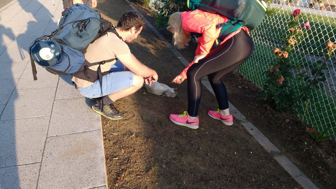 img_20180708_081112548