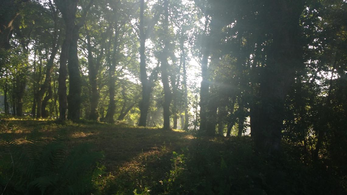 img_20180708_090056867