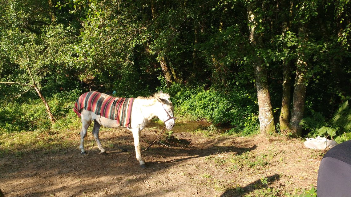 img_20180708_095225268