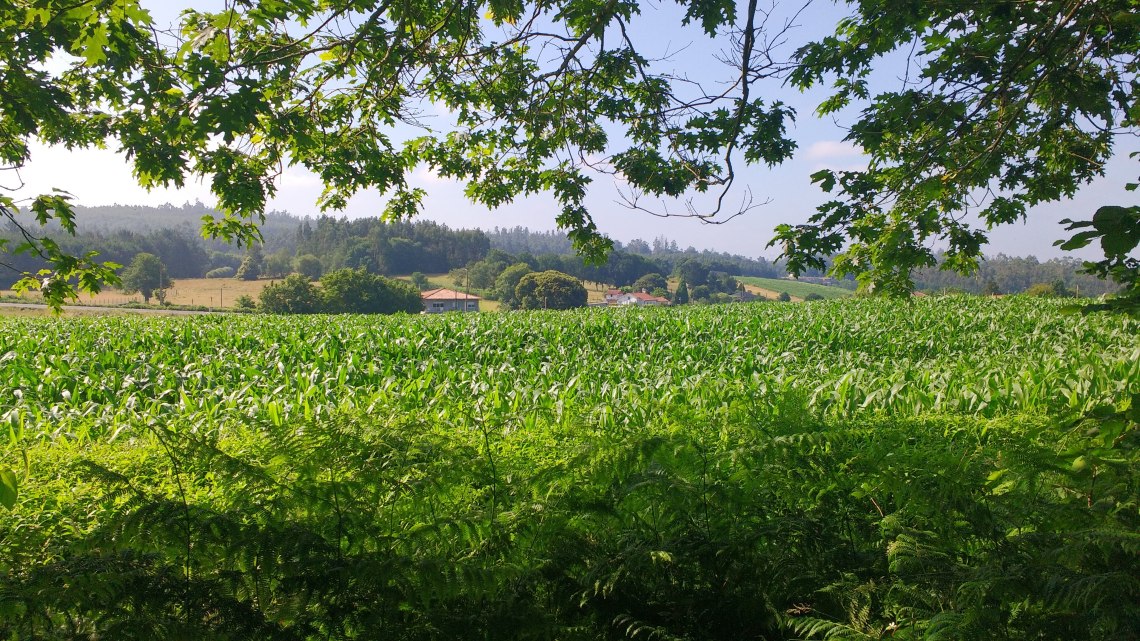 img_20180708_105316549