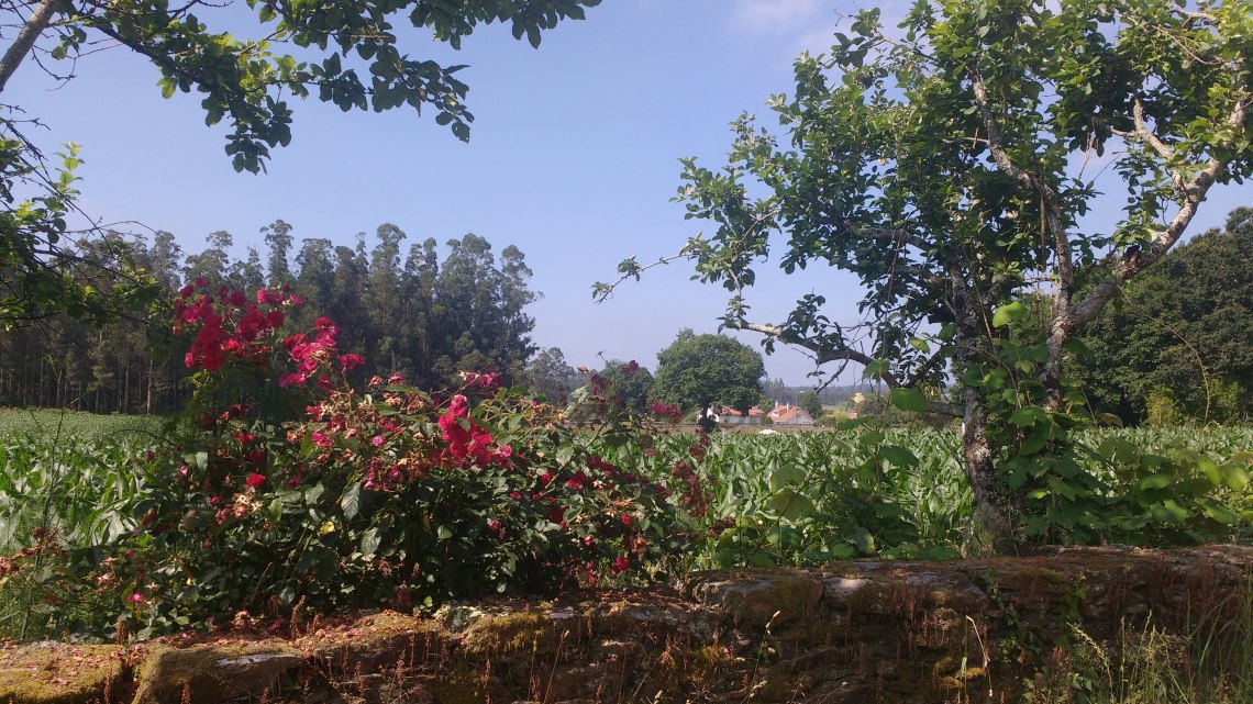 img_20180708_114810253