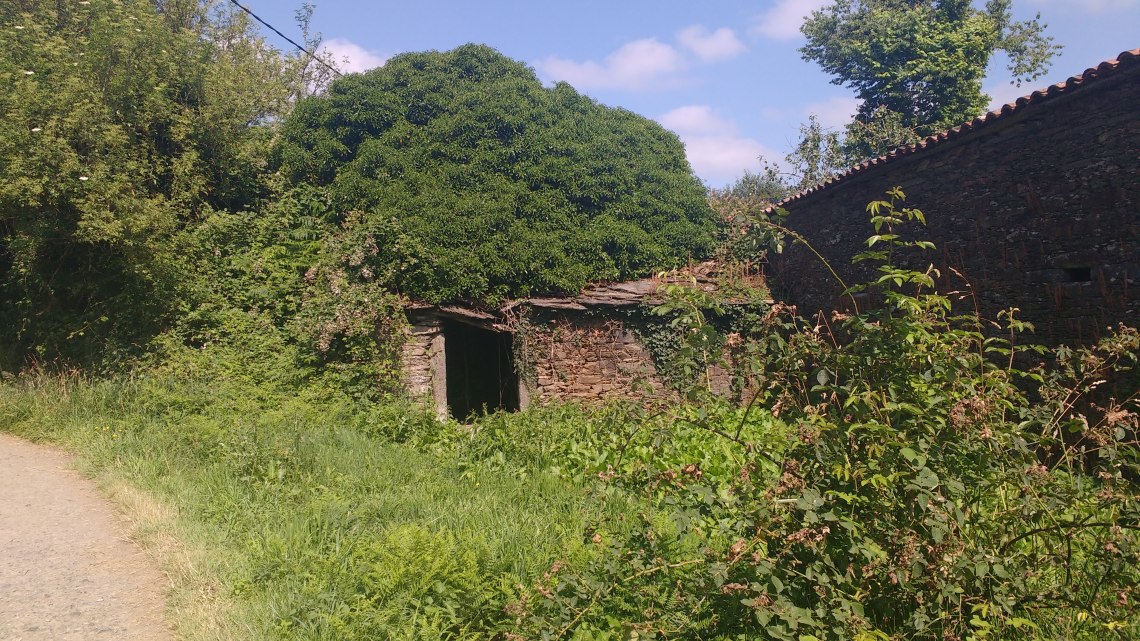 img_20180708_120604493