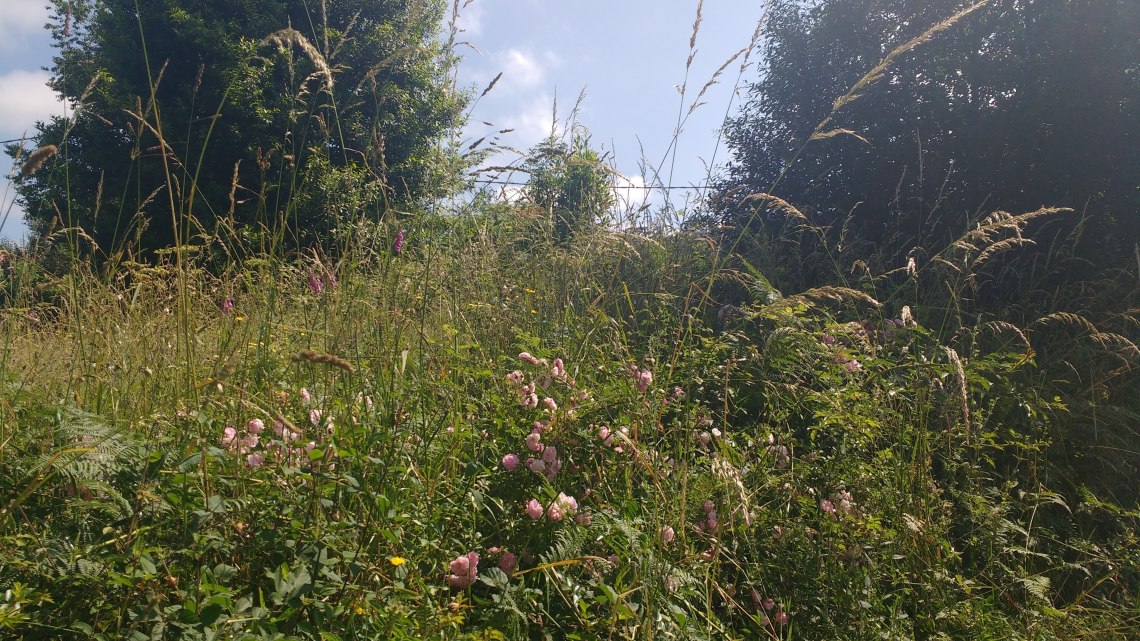 img_20180708_120701771