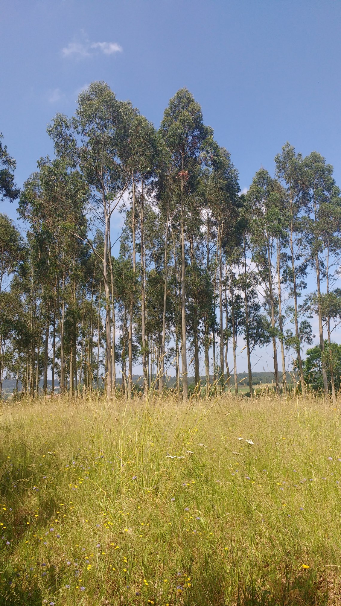 img_20180708_130228922