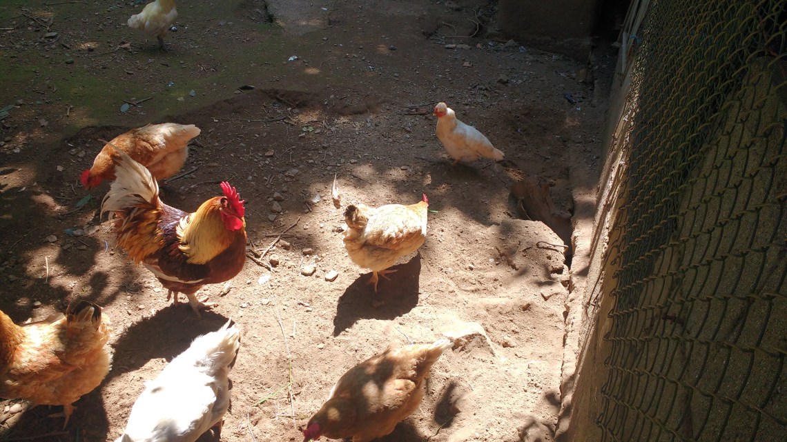 img_20180708_161437133