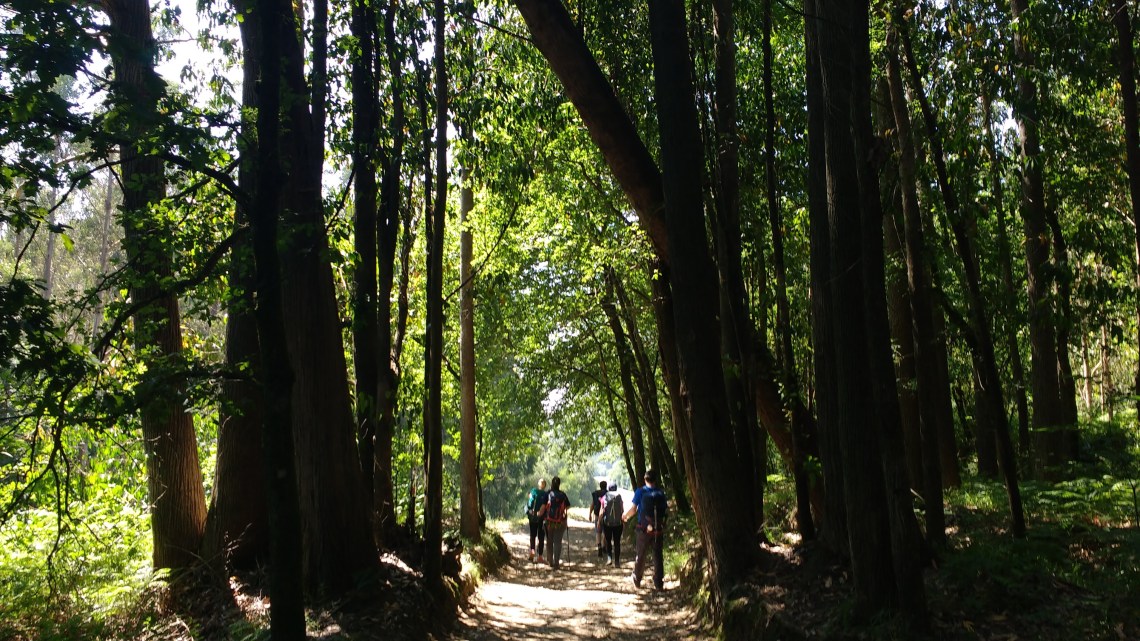 img_20180708_162429442